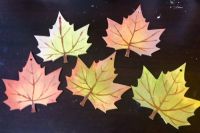 Autumn leaves